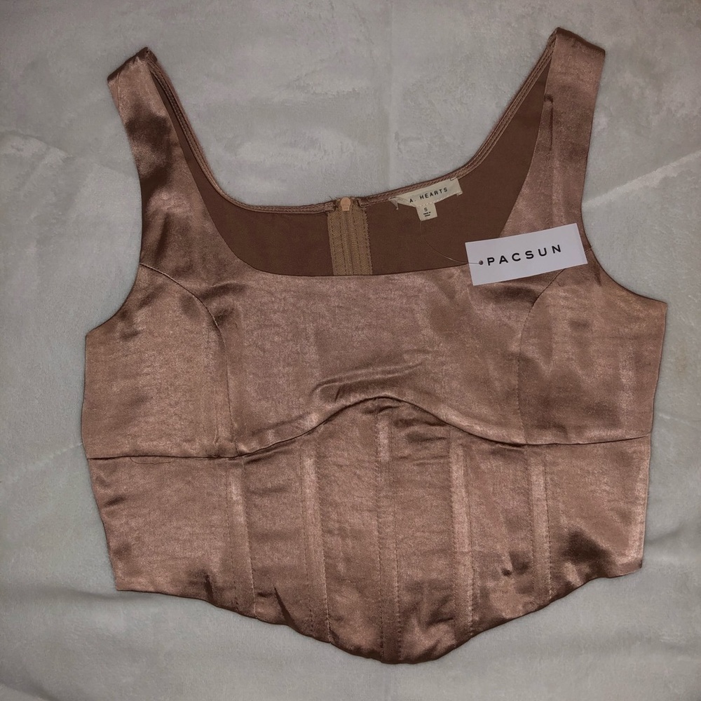 Rose Hold Satin Corset Top